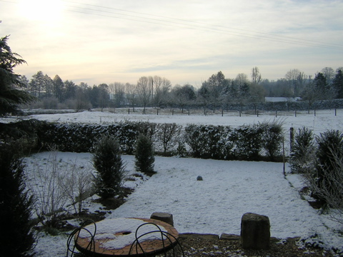 DSCN0785