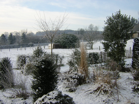 DSCN0786
