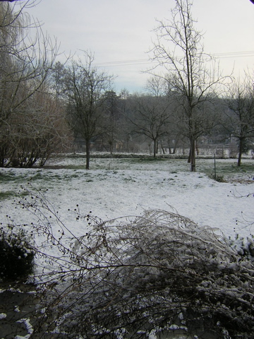 DSCN0787