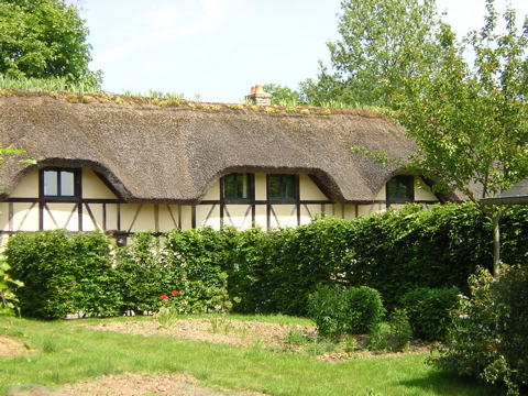 image5