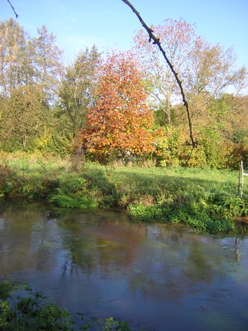 Dscn1963