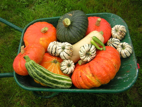 DSCN2737.JPG