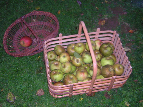 DSCN3623.JPG