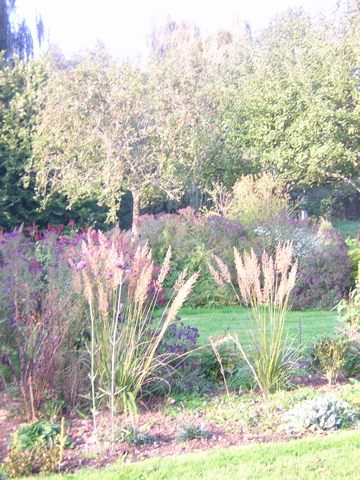 DSCN3648.JPG