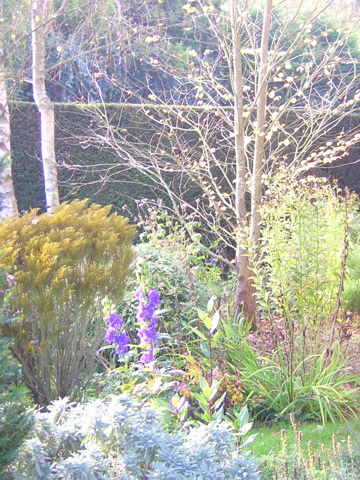 DSCN3651.JPG