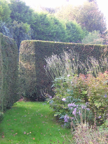 DSCN3653.JPG