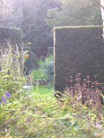 DSCN3656.JPG