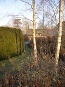 DSCN0501