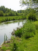 DSCN1173