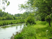 DSCN1174