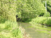 DSCN1175