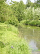 DSCN1176