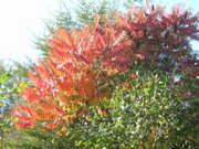 Dscn1959