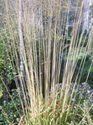 Dscn1961