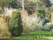 Dscn1962