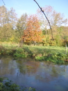 Dscn1963