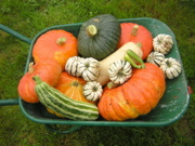 DSCN2737.JPG