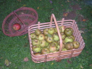 DSCN3623.JPG