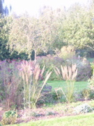 DSCN3648.JPG