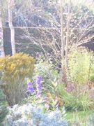DSCN3651.JPG