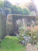 DSCN3653.JPG